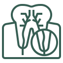 Root Canal Treatment